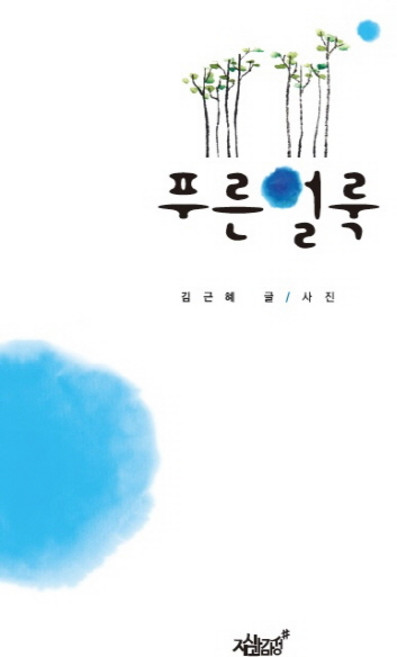푸른얼룩, 지식과감성, 김근혜 저