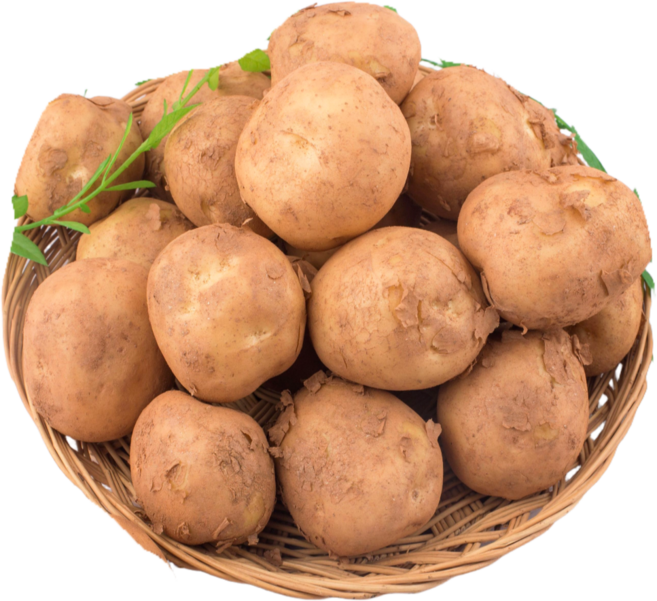 국내산 감자 (사이즈 선택), 1박스, 5kg-대