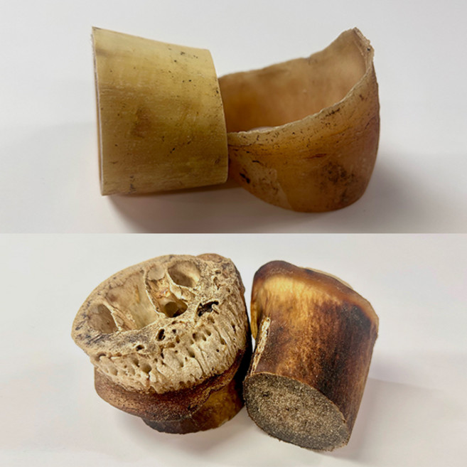 웁스 소뿔껌 커팅 조각 2P 오래먹는 국내산 수제간식, 소뿔속의껌 커팅 조각 L 2P