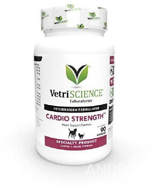 베트리사이언스 카디오스트렝스 강아지 고양이 심장 심혈관 서포트 영양제 90캡슐 타우린, 90정, 심장/간, 1개