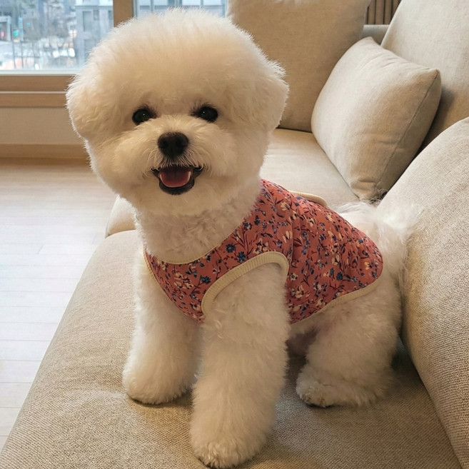 [폐기]퍼미스 할멍니 김장조끼 강아지 옷, 1개, 비비드 핑크