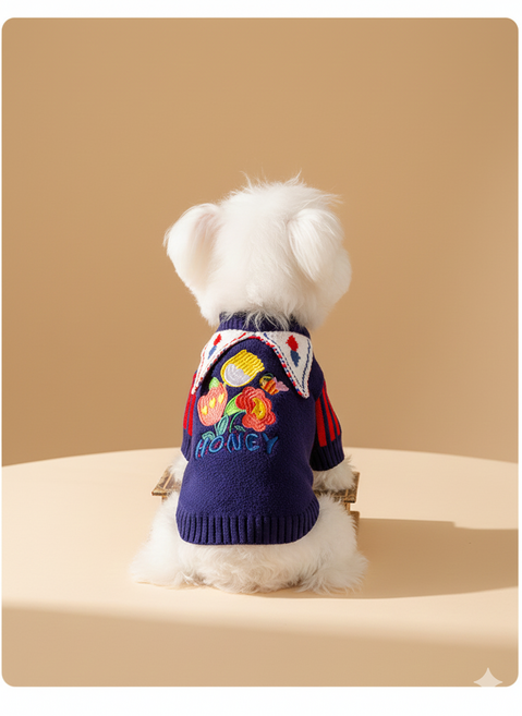 포아틀리에 강아지 서커스 코스튬 니트 의상 모자세트 컬러풀 파티룩 설날 발렌타인데이 촬영 소형견, 1개, Blue 파란색