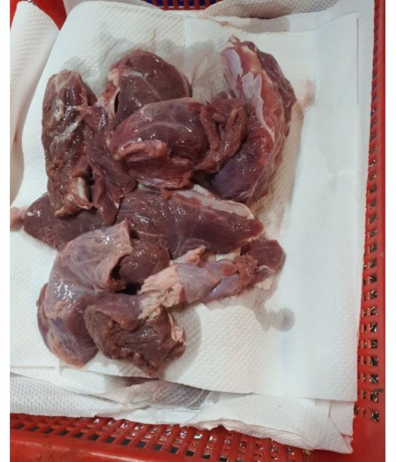 강아지 뼈건강 포식용 청정육 캥거루 사태부위 고기 1kg 건조 후 육포 혹은 생급여 기호성, 1개