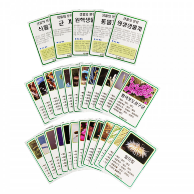 생물분류카드(생물의 5계 카드) 30장 /2팩
