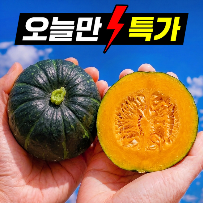 10위 - [하루100박스특가] 제주 보우짱 단호박 미니 밤호박, 1박스, 10kg