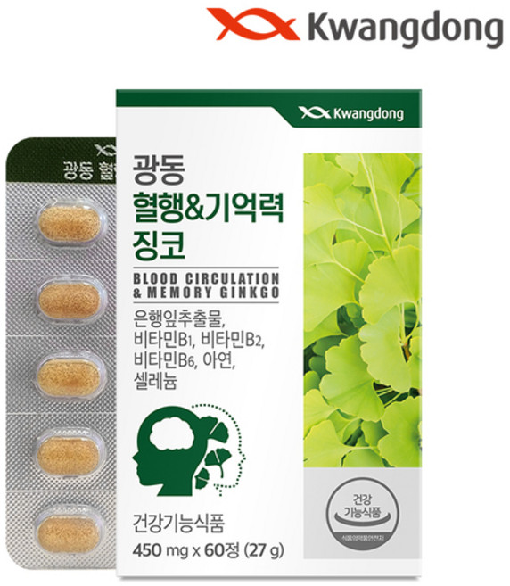 광동 혈행 앤 기억력 징코