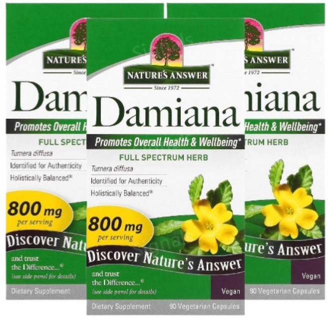 네이처스앤서 다미아나 Damiana 800mg 90캡슐 3개 다미아나잎
