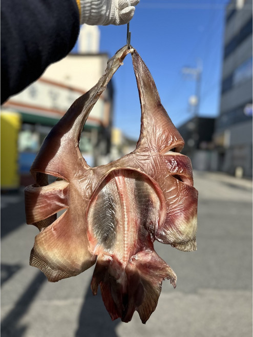반건조홍어 홍어찜 말린 국산홍어 2 3 4kg, 반건조홍어1마리(4kg대), 1개, 원물4kg