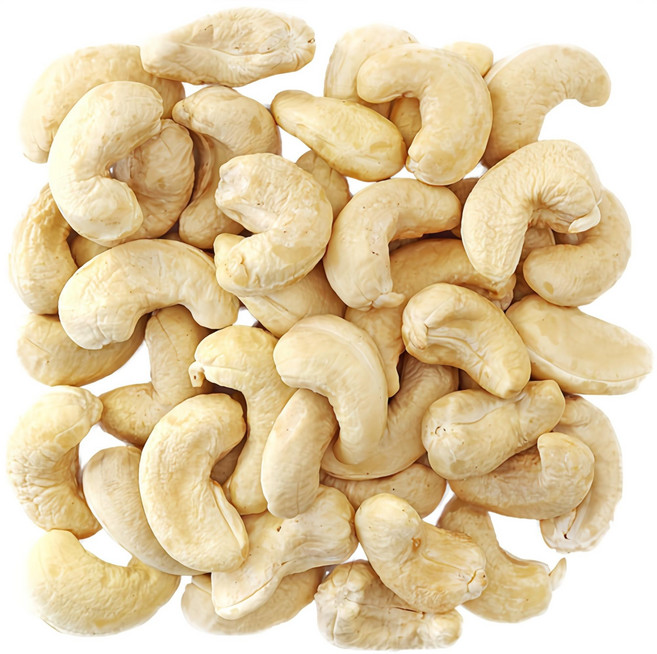 푸드팜 캐슈넛 햇 (생캐슈넛), 1kg, 1개