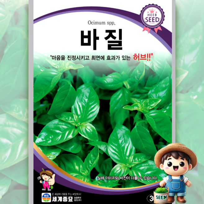 세계종묘 바질 300립 라임 식용꽃 허브 꽃씨 씨앗 종자 세계, 1개