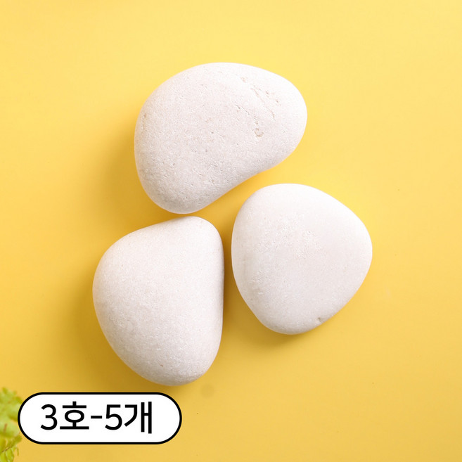 세경팜 납작한 크림자갈 그림그리기돌 반려돌, 3호, 5개