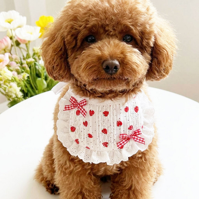 하니펫 반려동물 귀요미스카프 딸기 반달 케이프, 1개, 레드