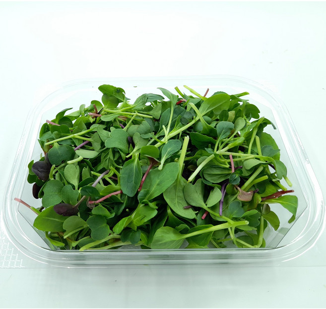 싱싱한 베이비순 어린잎채소 50g, 1개