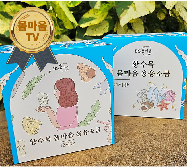 황수목의 몸마음 용융소금 12시간 4g x 100포, 100개