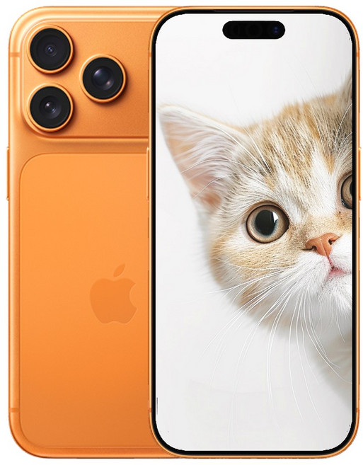 i폰17 프로맥스 새상품 미개봉, 256GB, Cosmic Orange