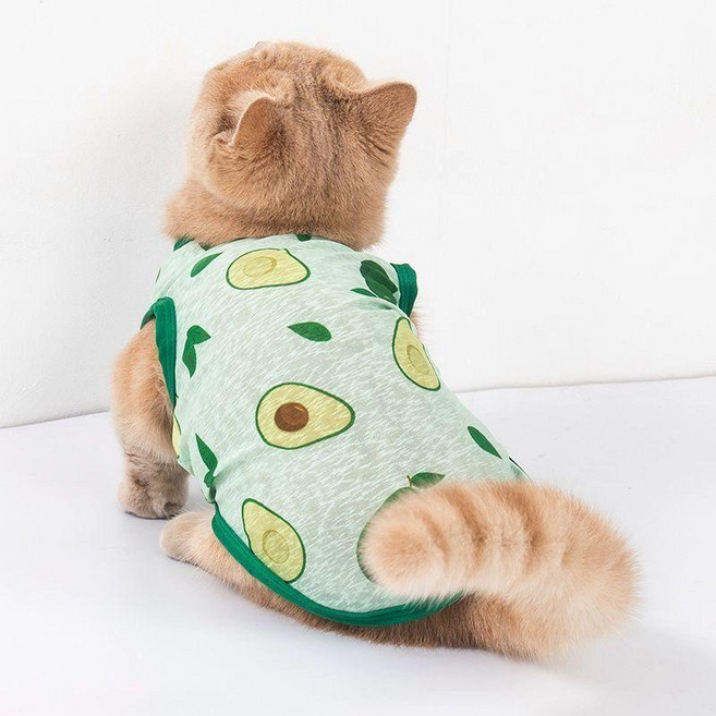 디디닷 고양이환묘복 핥기 중성화 고양이옷 강아지옷, 1개, 아보카도
