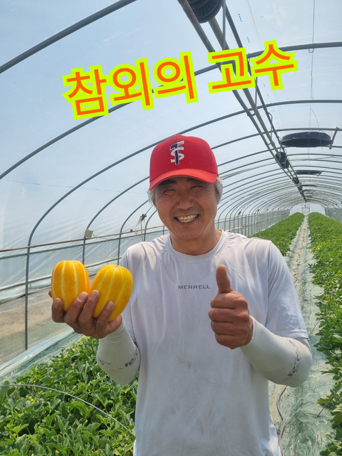 꼭두새벽 못난이 성주 참외 못생겨도 당도최고!, 1박스, 3kg