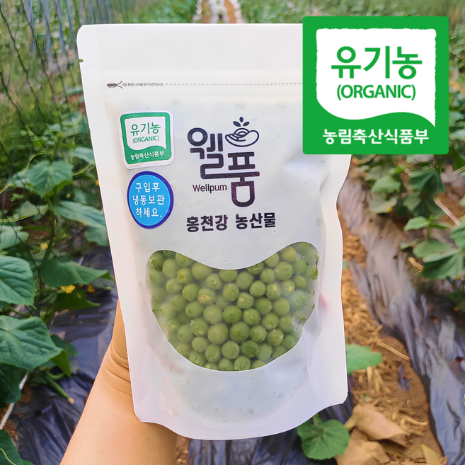 황금알신선연구소 (깐)완두콩알 특등급유기농 강원도홍천 산지직송, 1박스, 400g