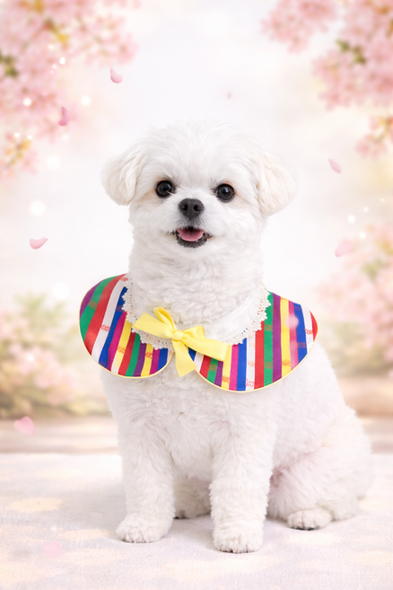 [푸들나무] 꼬까 색동 케이프, 1개, 무지개