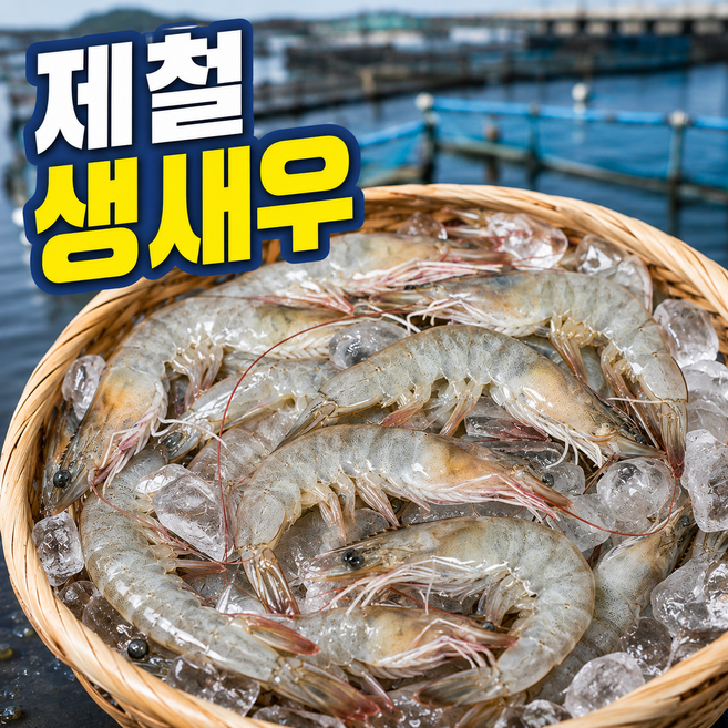 디지수산 산지직송 국내산 활 흰다리새우 제철, 1개, 1kg