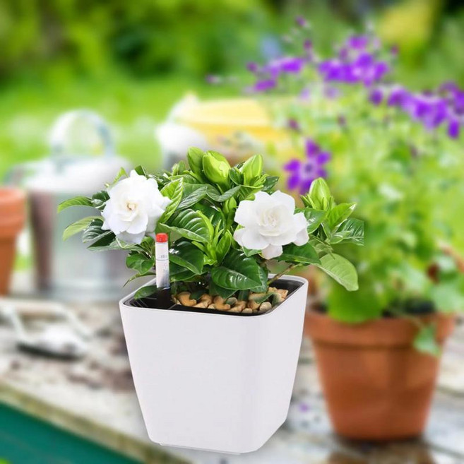 식물 수위 표시기가 자동 급수 화분 높이 식당용, 01 WHITE, 1. White, 1개