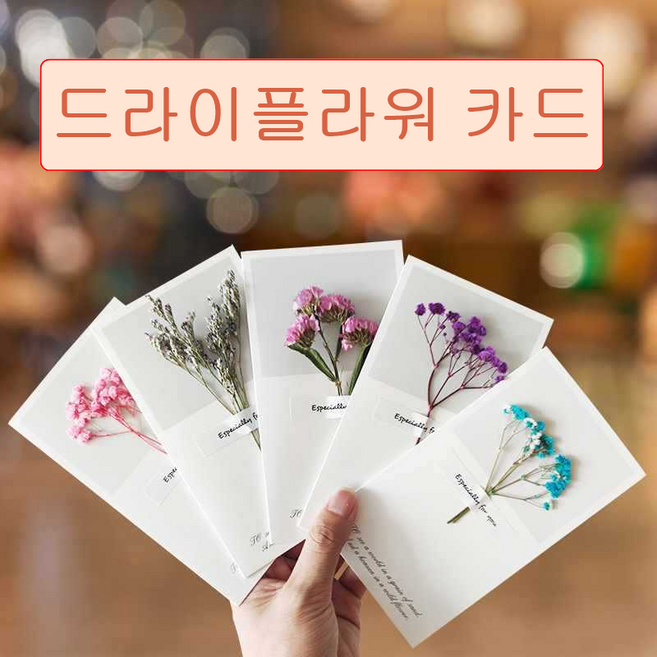 5개세트 드라이플라워 꽃 카드 생일 축하 감사 결혼 초대 엽서, 1팩, 5가지색상