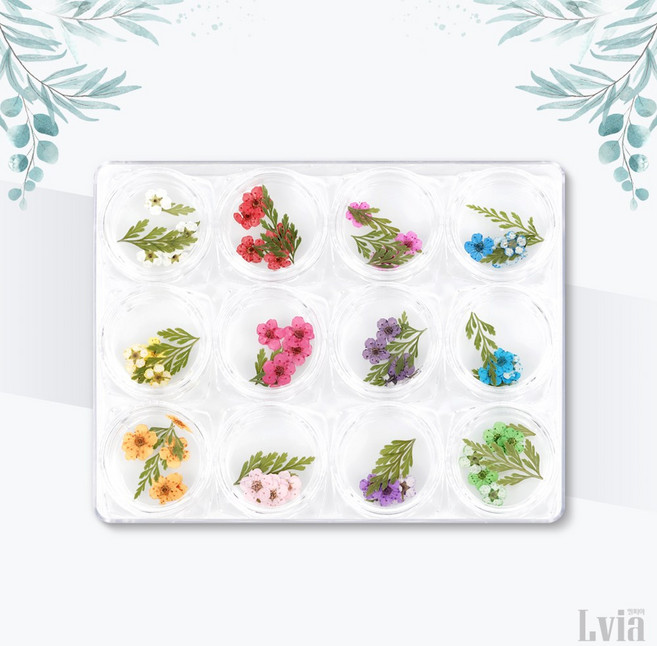 생화 압화 네일 아트 재료 조팝 드라이 플라워 12종 세트, 조팝꽃 생화 3개입, 1개