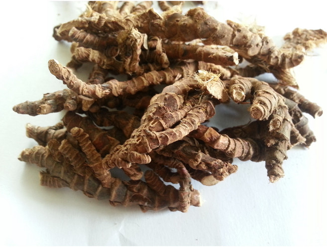 국내산 석창포300g 석창포전문농원 자체생산판매 GAP, 300g, 1개