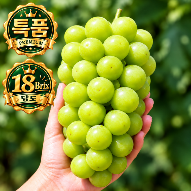 [백화점납품용] 온니제철 18brix 초고당도 김천 샤인머스켓 특품, 1박스, 1kg(1-2수)