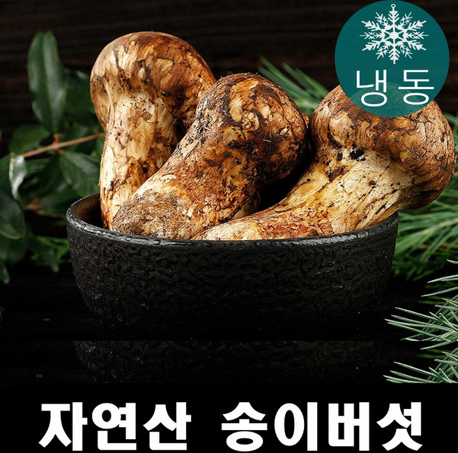 진심좋은 자연산 냉동 송이 버섯 자연 송이버섯, 1등급 500g, 1박스