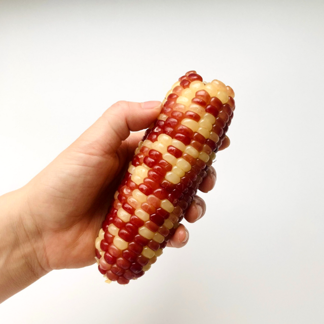 간식 다이어트간식 냉동 삶은 찰옥수수 홍찰옥수수 특품(중), 20개, 3 kg 내외