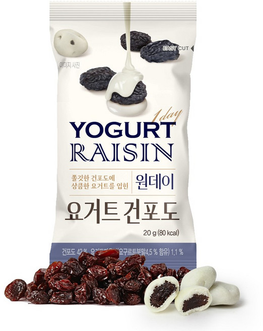 산과들에 원데이 요거트 건포도 20g, 50개