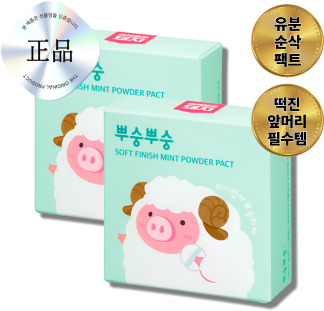 뿌숭뿌숭 파우더 팩트 유분 컨트롤, 민트, 2개