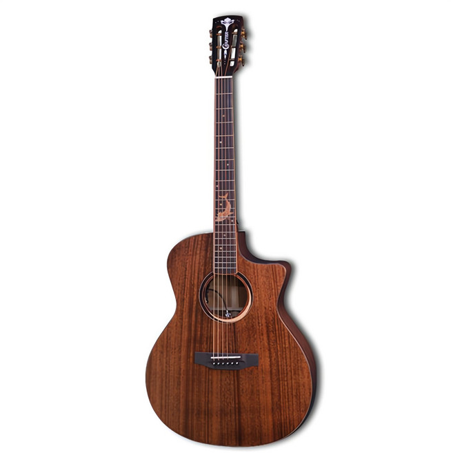 크래프터 그랜드 오디토리움 컷어웨이 기타 HG-100C/OP.N, MIND W PREMIUM-Gce, 브라운, 1개