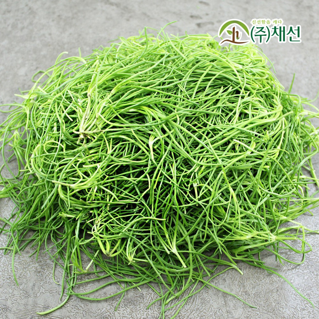 해풍맞아 짭짤한 세발나물 갯나물 500g, 1개