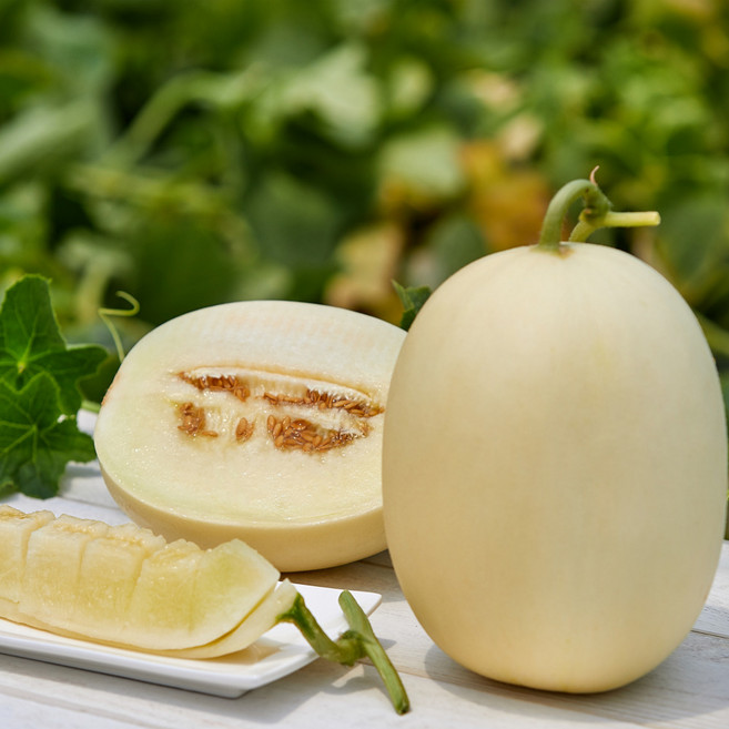 [품질보장] 설향 메론 성산 산지직송 햇메론 고당도 멜론 생과 최상품 디아머스, 1개, 5kg