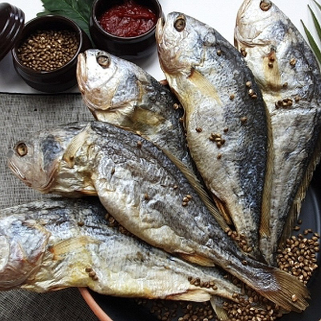 보리굴비 영광 법성포 28~30cm 5미 설 명절 굴비선물세트, 보리굴비 선물세트 x 1개