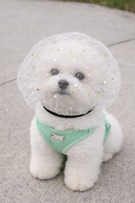 YELON 강아지 페이스커버 얼굴망 이식증 버그가드, 1개, 화이트