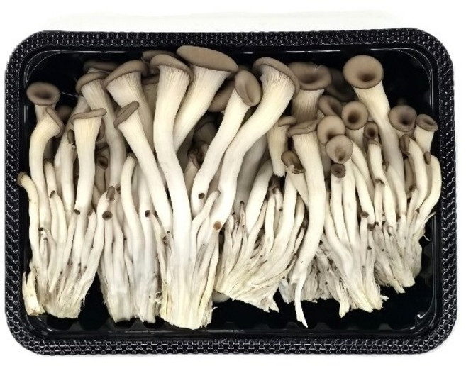 야채왕 무농약 느타리 참타리 버섯 200g 1팩 /3팩/ 5팩 /10팩, 1개