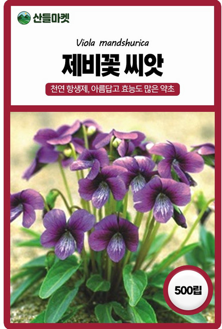 아람종묘 제비꽃 씨앗 500립 비올라 제비꽃씨 야생화 약초 종자, 1개