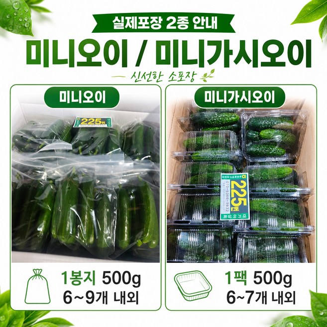 당일경매 제철야채 과채 미니가시오이 미니오이 1팩 1봉지 당일경매 경매후바로발송, 1개, 미니오이1봉지