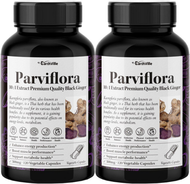 어스빌 파비플로라 흑생강 10배농축 추출물 500mg 베지캡슐 4개월분, 2개, 120정