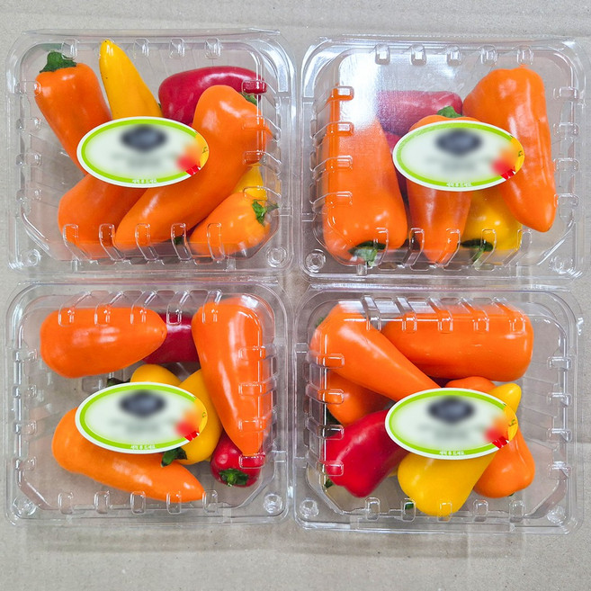 야채삼촌 국내산 미니 파프리카, 4개, 250g