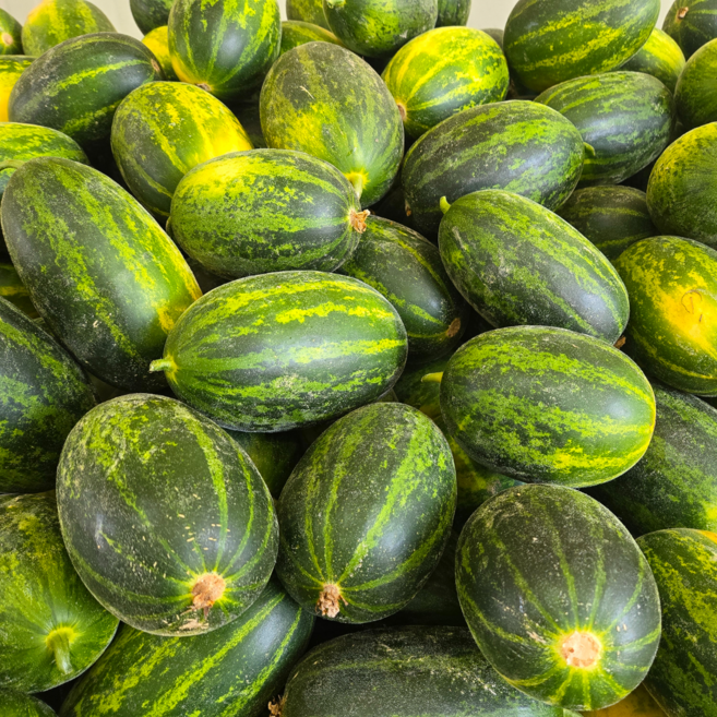 [초특가할인] 파파야메론 파파야멜론 개구리참외 메론참외 가정용, 1박스, 파파야메론 5kg