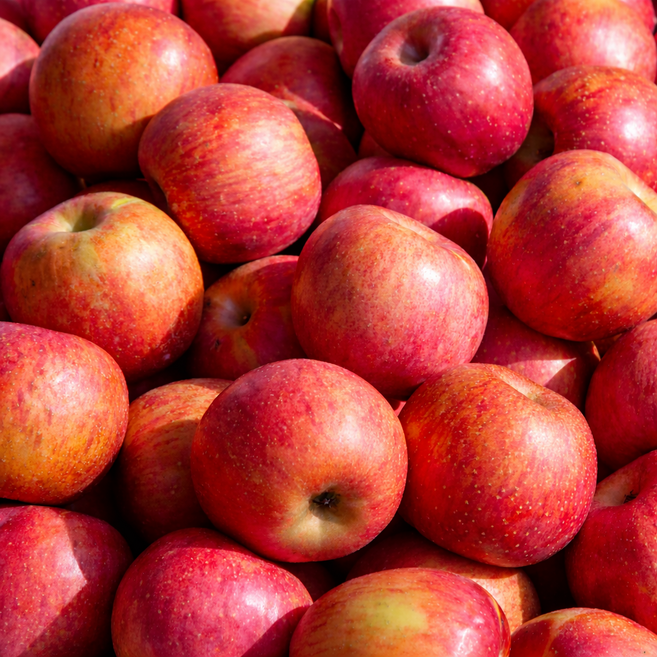 꿀탱이농원 못난이 사과 초특가 부사 흠과, 1개, 5kg (랜덤과)