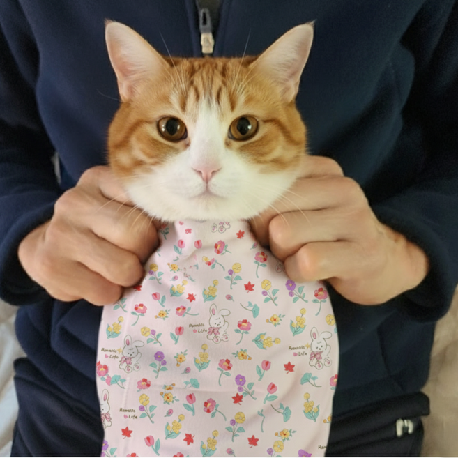 동동우주 고양이 요술담요 반려동물 할큄방지 그루밍랩 활동 고정 케어용 접착담요, 토끼