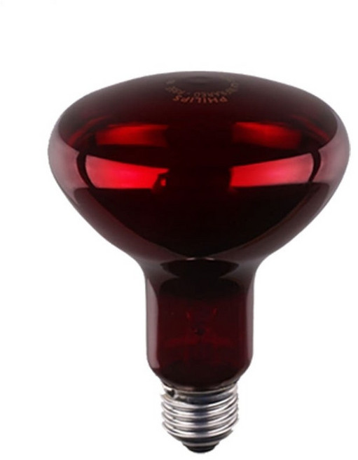 필립스 적외선 IR 램프 100W R95 E27, 1개