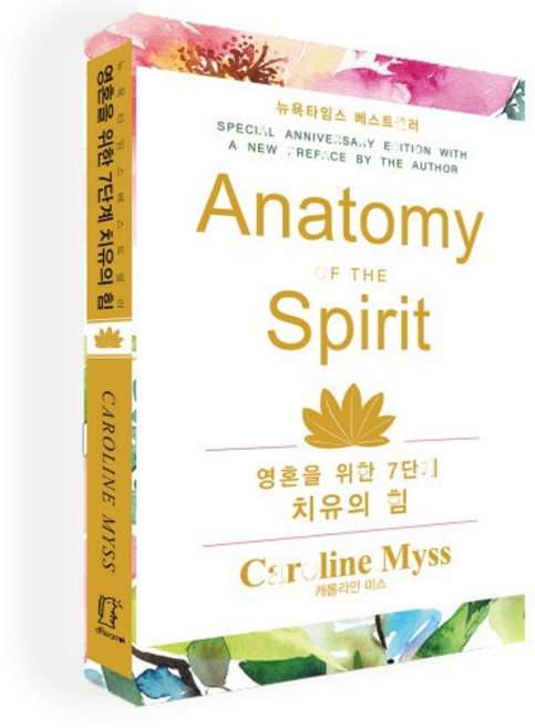 영혼을 위한 7단계 치유의 힘(Anatomy of the Spirit) 캐롤라인 미스, 캐롤라인미스