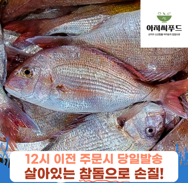 국내산 손질 참돔 산지직송 생선 구이 도미 매운탕, 2개, 손질 참돔 1.5kg(손질 후 1.2kg내외)