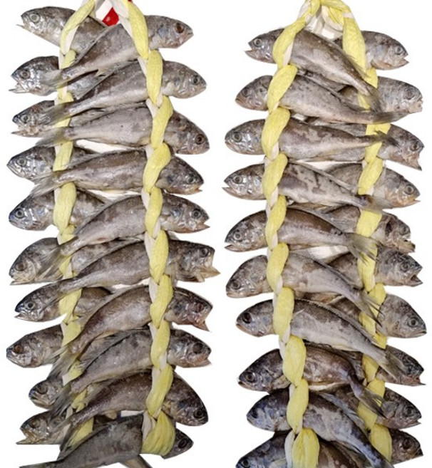 영광 법성포 굴비 1.9kg내외 40미 가정용, 40개, 1.95kg